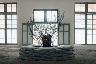 6本次展覽彩蛋＿防空洞的頂部，策展人靈光一動在此空間利用橄欖樹做出藝術裝置，象徵l