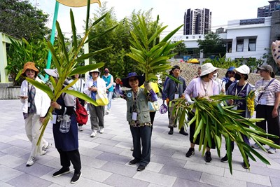 「尋色大里工作營」學員採集月桃枝葉植物染色_0