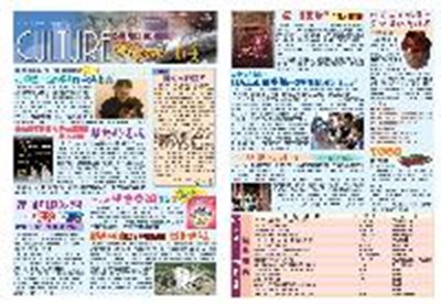 第64期文化報報